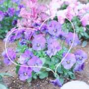 ヒメ日記 2026/09/30 19:58 投稿 かなみ 天使のゆびさき 船橋店(カサブランカグループ)