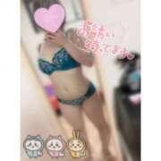 ヒメ日記 2025/06/15 04:41 投稿 ぷりん マリン土浦本店