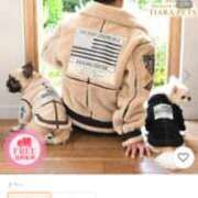 近藤 明菜 レスティ?（わんちゃんのお話） こあくまな熟女たち小倉店（KOAKUMAグループ）