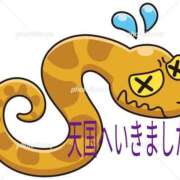 ヒメ日記 2025/05/15 18:33 投稿 ましろ 素人妻御奉仕倶楽部Hip's松戸店