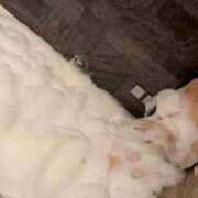 ヒメ日記 2025/11/14 02:48 投稿 のあん 密着指導！バカンス学園 尼崎校