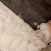 ヒメ日記 2025/11/24 13:12 投稿 のあん 密着指導！バカンス学園 尼崎校