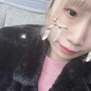 ヒメ日記 2025/12/15 19:58 投稿 のあん 密着指導！バカンス学園 尼崎校