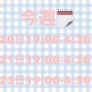 ヒメ日記 2026/01/19 15:29 投稿 ましろ【F乳看護学生】 STELLA TOKYO－ステラトウキョウ－