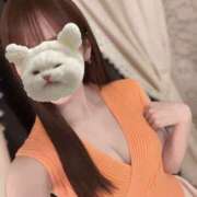 桃瀬なの おはにゃんこ❗️ CELEB SPA PREMIUM