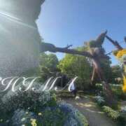 ヒメ日記 2025/05/23 07:31 投稿 しま 沼津人妻花壇