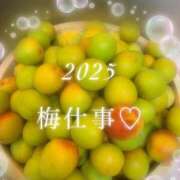 ヒメ日記 2025/06/19 15:34 投稿 しま 沼津人妻花壇