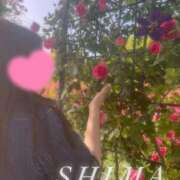 ヒメ日記 2025/06/20 21:04 投稿 しま 沼津人妻花壇