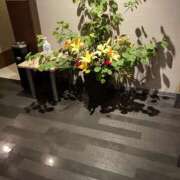 ヒメ日記 2025/08/03 14:00 投稿 愛沢 鶯谷セールスレディ