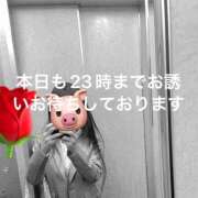 ヒメ日記 2025/10/20 12:54 投稿 愛沢 鶯谷セールスレディ