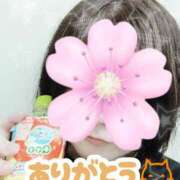 ヒメ日記 2025/05/28 16:28 投稿 ゆうな ぷるるんマダム 難波店