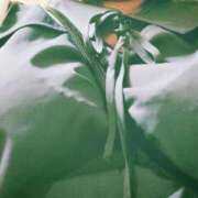 ヒメ日記 2025/06/02 09:01 投稿 ゆうな ぷるるんマダム 難波店