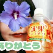 ヒメ日記 2025/06/05 11:51 投稿 ゆうな ぷるるんマダム 難波店