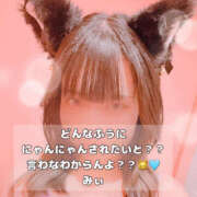 ヒメ日記 2025/09/20 12:08 投稿 みぃ ハピネス＆ドリーム福岡