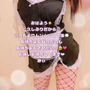 ヒメ日記 2025/10/24 06:38 投稿 みぃ ハピネス＆ドリーム福岡