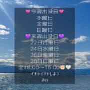 ヒメ日記 2025/12/16 06:48 投稿 みぃ ハピネス＆ドリーム福岡