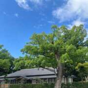 ヒメ日記 2026/06/16 12:08 投稿 みぃ ハピネス＆ドリーム福岡