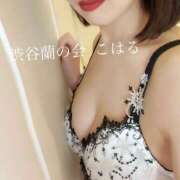 ヒメ日記 2025/05/13 00:11 投稿 こはる 渋谷蘭の会