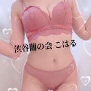 ヒメ日記 2025/05/26 15:02 投稿 こはる 渋谷蘭の会