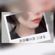 ヒメ日記 2025/05/31 14:51 投稿 こはる 渋谷蘭の会