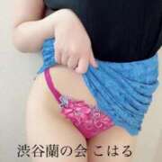 ヒメ日記 2025/06/23 17:51 投稿 こはる 渋谷蘭の会