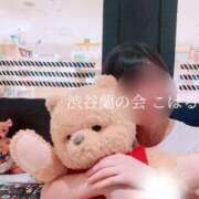 ヒメ日記 2025/07/01 19:21 投稿 こはる 渋谷蘭の会