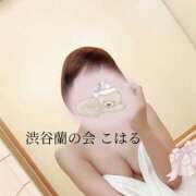 ヒメ日記 2025/07/10 16:07 投稿 こはる 渋谷蘭の会