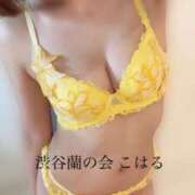 ヒメ日記 2025/07/24 12:03 投稿 こはる 渋谷蘭の会