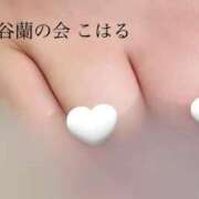 ヒメ日記 2025/07/26 09:02 投稿 こはる 渋谷蘭の会