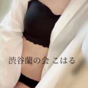 ヒメ日記 2025/07/28 16:21 投稿 こはる 渋谷蘭の会