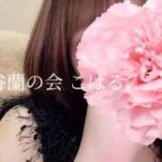 ヒメ日記 2025/07/29 16:51 投稿 こはる 渋谷蘭の会