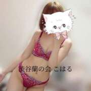 ヒメ日記 2025/08/06 20:21 投稿 こはる 渋谷蘭の会