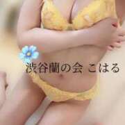 ヒメ日記 2025/08/16 15:45 投稿 こはる 渋谷蘭の会