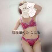 ヒメ日記 2025/08/17 16:45 投稿 こはる 渋谷蘭の会