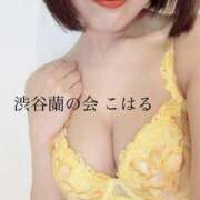 ヒメ日記 2025/08/19 17:35 投稿 こはる 渋谷蘭の会