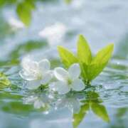 ヒメ日記 2025/05/16 16:01 投稿 ひみつ 京都デリヘル倶楽部FIRST