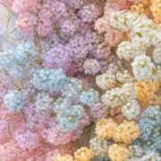 ヒメ日記 2025/05/19 17:02 投稿 ひみつ 京都デリヘル倶楽部FIRST