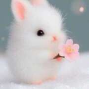 ヒメ日記 2025/06/03 01:00 投稿 ひみつ 京都デリヘル倶楽部FIRST