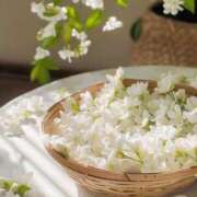 ヒメ日記 2025/06/04 00:00 投稿 ひみつ 京都デリヘル倶楽部FIRST