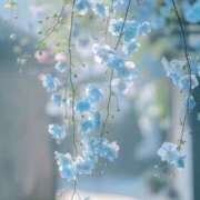 ヒメ日記 2025/06/04 15:00 投稿 ひみつ 京都デリヘル倶楽部FIRST