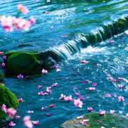 ヒメ日記 2025/06/05 14:45 投稿 ひみつ 京都デリヘル倶楽部FIRST