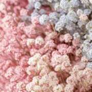 ヒメ日記 2025/06/16 10:54 投稿 ひみつ 京都デリヘル倶楽部FIRST