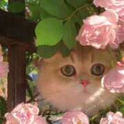 ヒメ日記 2025/06/16 13:10 投稿 ひみつ 京都デリヘル倶楽部FIRST