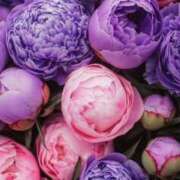 ヒメ日記 2025/06/16 20:30 投稿 ひみつ 京都デリヘル倶楽部FIRST