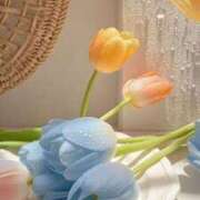 ヒメ日記 2025/06/17 02:30 投稿 ひみつ 京都デリヘル倶楽部FIRST