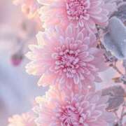 ヒメ日記 2025/06/30 22:01 投稿 ひみつ 京都デリヘル倶楽部FIRST