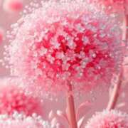 ヒメ日記 2025/07/02 12:55 投稿 ひみつ 京都デリヘル倶楽部FIRST