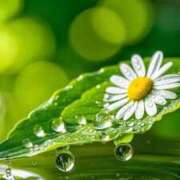 ヒメ日記 2025/07/03 13:30 投稿 ひみつ 京都デリヘル倶楽部FIRST