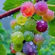 ヒメ日記 2025/07/04 01:30 投稿 ひみつ 京都デリヘル倶楽部FIRST