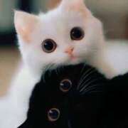 ヒメ日記 2025/07/04 17:00 投稿 ひみつ 京都デリヘル倶楽部FIRST